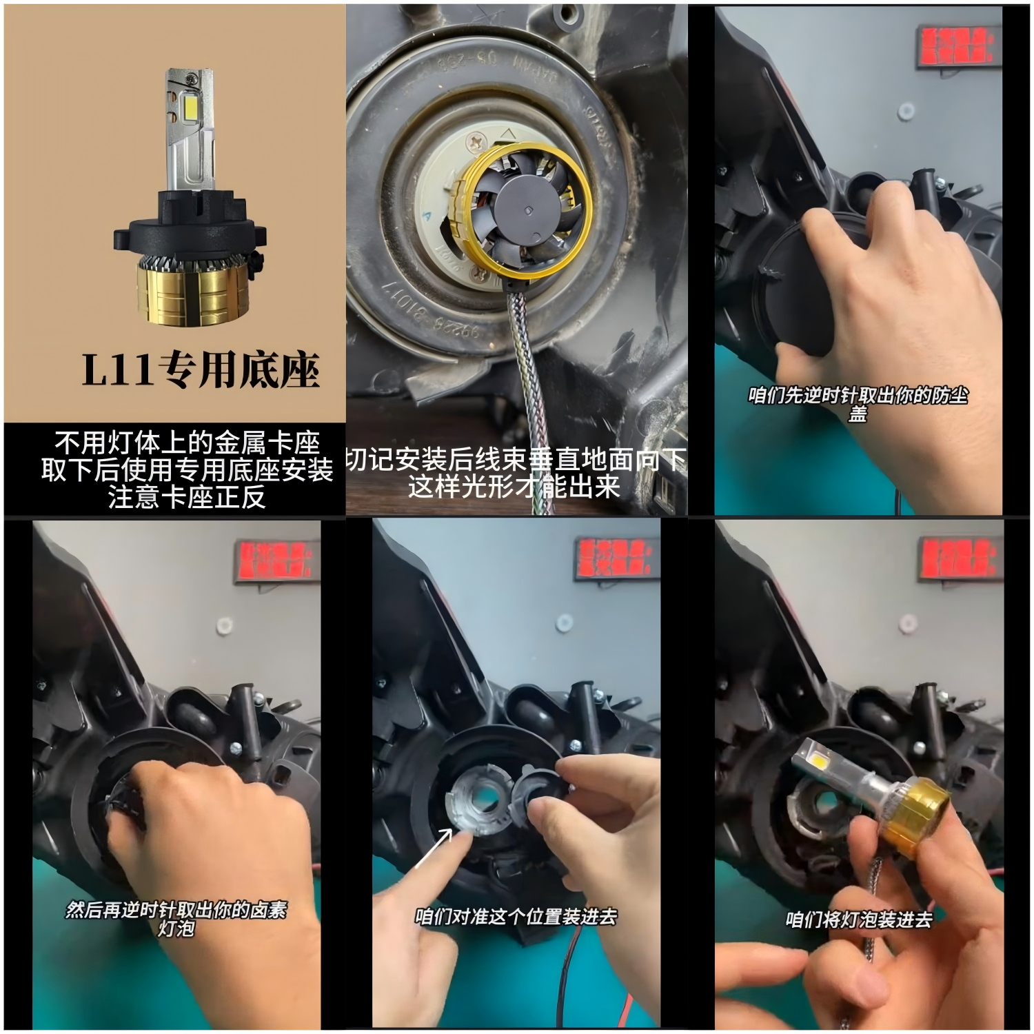 L11.png